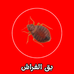 الشركة الألمانية لمكافحة بق الفراش