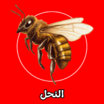 الشركة الألمانية لمكافحة النحل