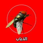 الشركة الألمانية لمكافحة الذباب