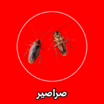 الشركة الألمانية لمكافحة الصراصير