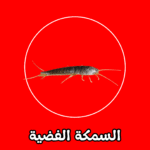 الشركة الألمانية لمكافحة السمكة الفضية